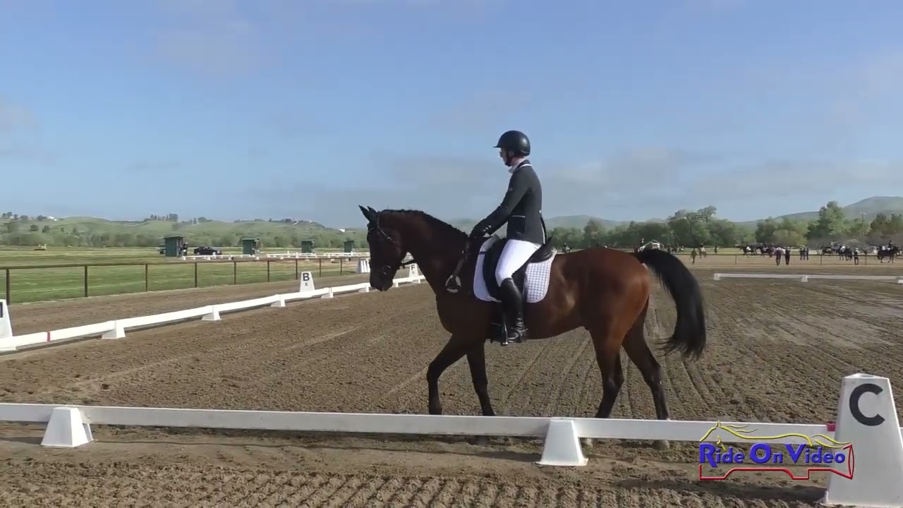 134D Anna Brostrom on Duke's Helios JR Training Dressage Twin Rivers Ranch April 2023