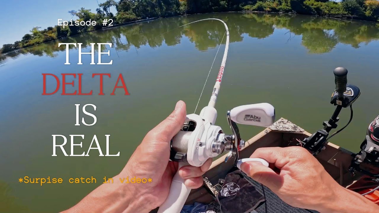 An Unexpected Catch (California Delta) 