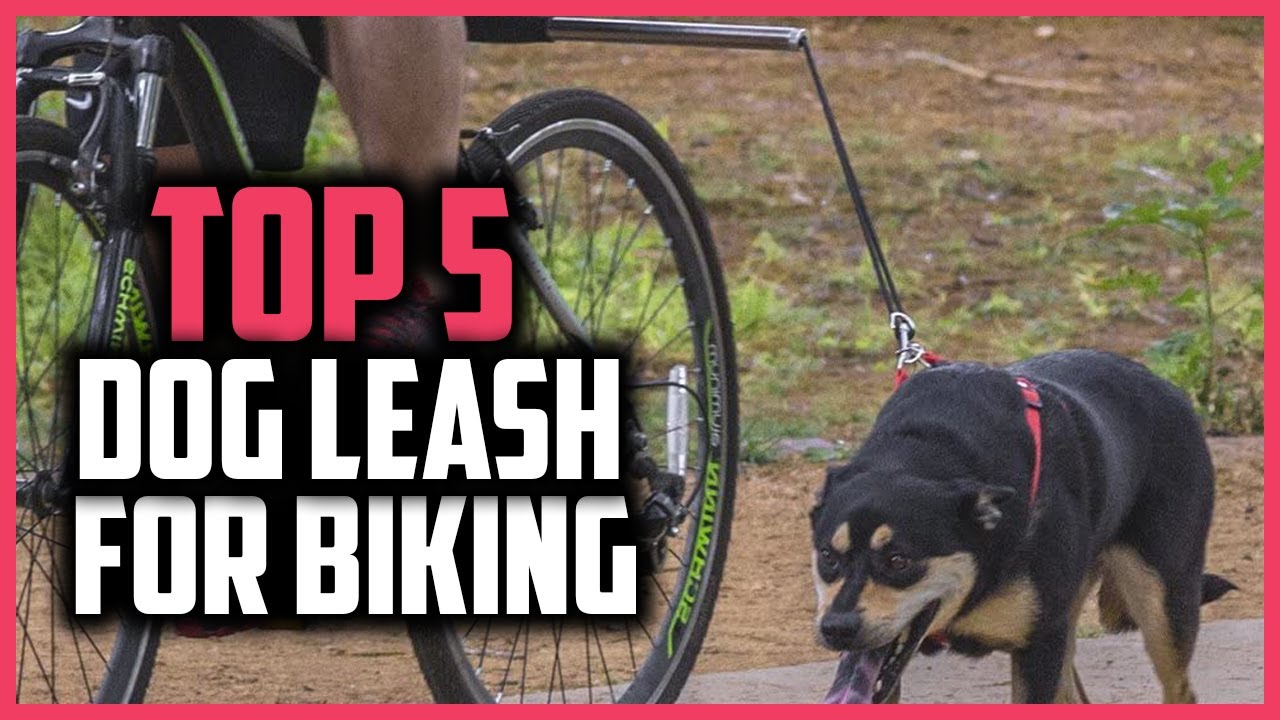 ✅Top 5 Best Dog Leash For Biking of 2024