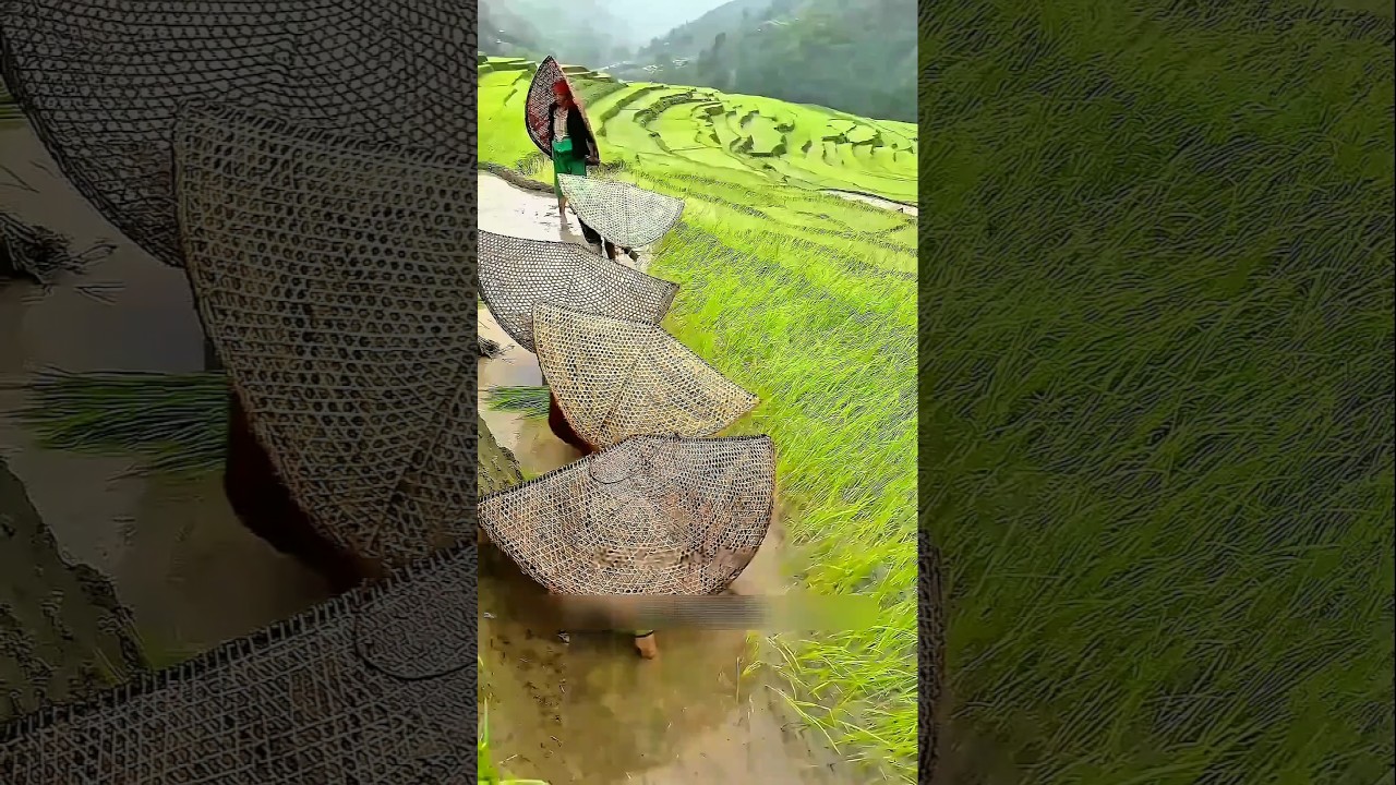 Forget Raincoats! Nepalese Farmers Have a 100-Year-Old Rain Solution! #InterestingFacts#RainGear