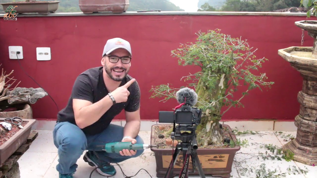 TRANSFORMANDO UMA ÁRVORE GIGANTE EM BONSAI