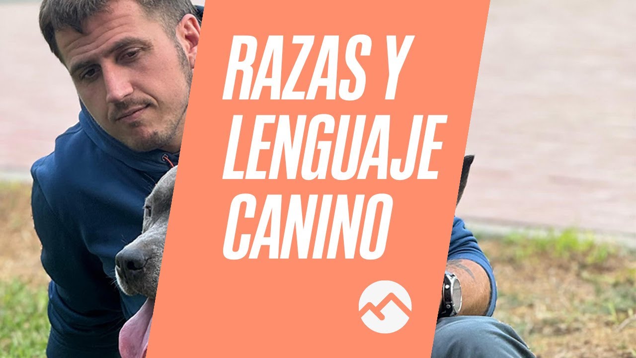 Razas y lenguaje canino