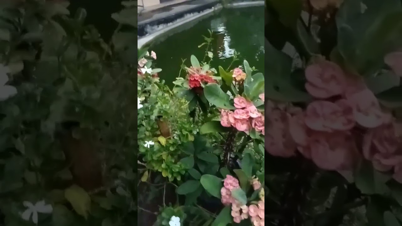 5 ตุลาคม ค.ศ. 2023