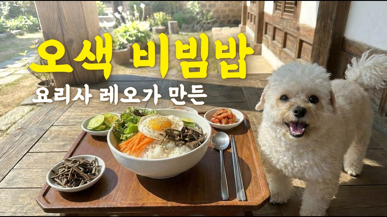 요리사 토이푸들, 입맛 없는 할머니를 위해 비빔밥을 만들다 🐶