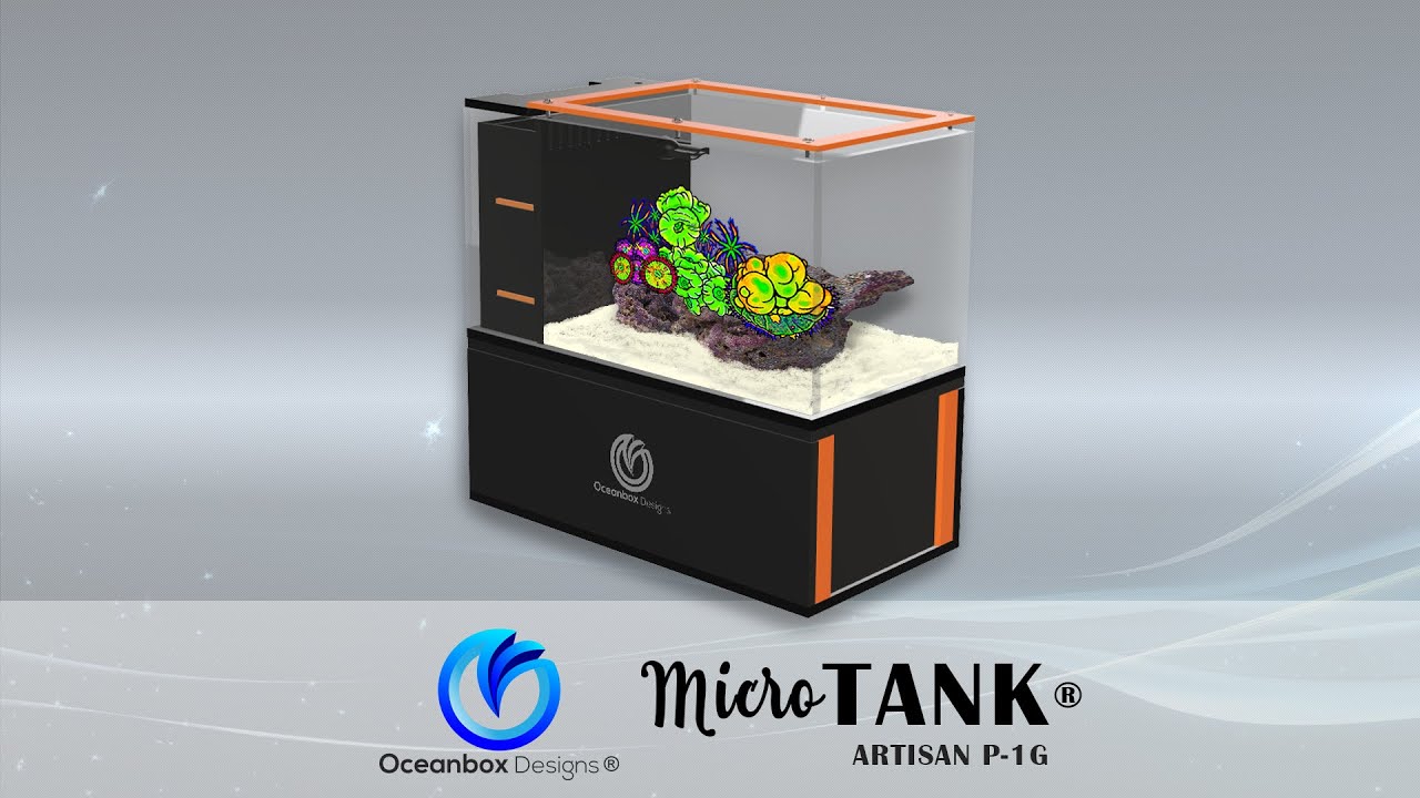 Oceanbox Designs® MicroTank® Artisan P-1G Peninsula 1 Gallon Micro AIO Aquarium - Introduction