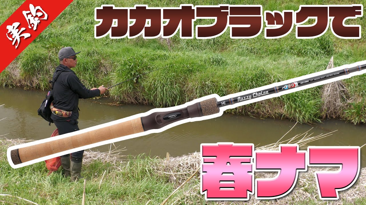 #035【デイナマ】カカオブラックで春ナマ狙ってみた！Fishing for Catfish in JAPAN