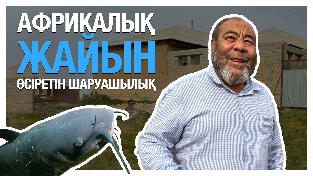 Жайын мен бұқа ұстайтын отбасы