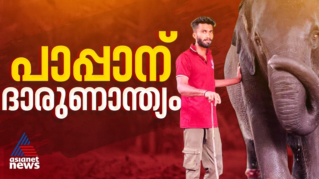 പാപ്പാനെ ആന ചവിട്ടി വെള്ളത്തിലിട്ട് തുമ്പിക്കൈ കൊണ്ട് അടിച്ചുകൊന്നു