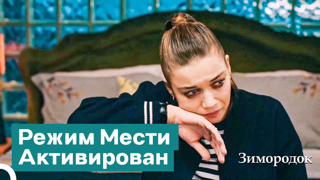 Извинения Все Изменят? | Зимородок