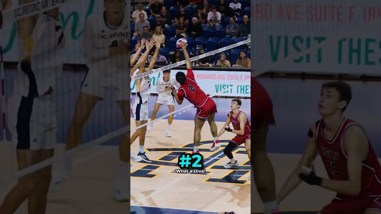 These Viral Volleyball Moments Are A Must-See!