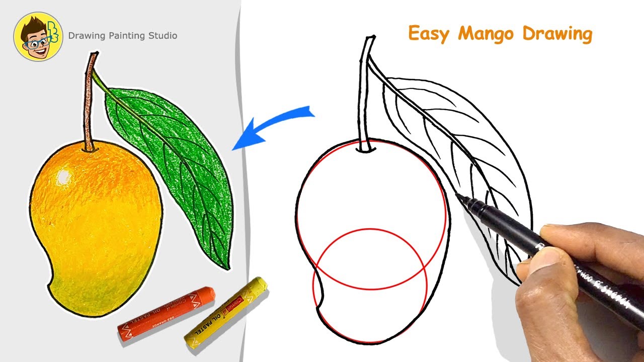 Mango drawing step by step for Beginners | Very easy way Mango fruit Drawing with color