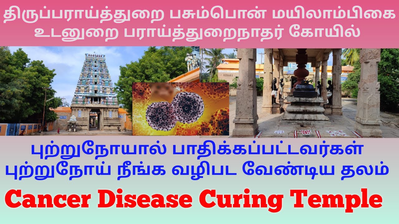 திருப்பராய்த்துறை பராய்த்துறைநாதர் கோயில் புற்றுநோய் நீங்க வழிபட வேண்டிய தலம் Cancer Curring Temple