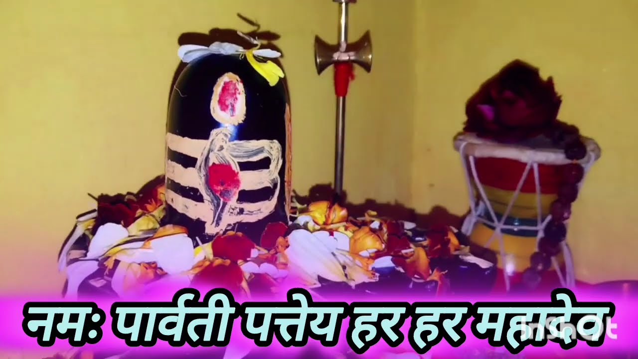 25 जनवरी माघ रविवार सप्तमी तिथि के दिन 7 चावल के दाने वाला उपाय जरुर करे || Pradeep Ji Mishra