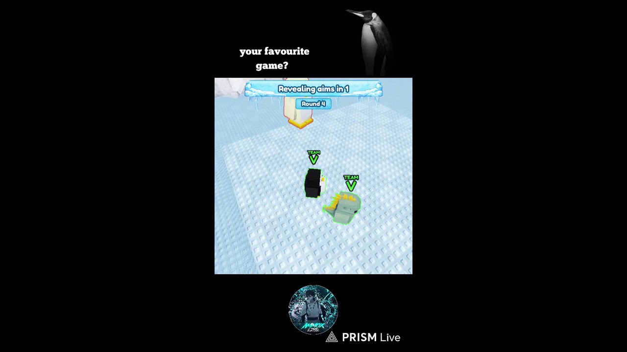 Knockouts Roblox live with Ammox!! 🔥 🐧 #Roblox #knockout #live #robloxlive