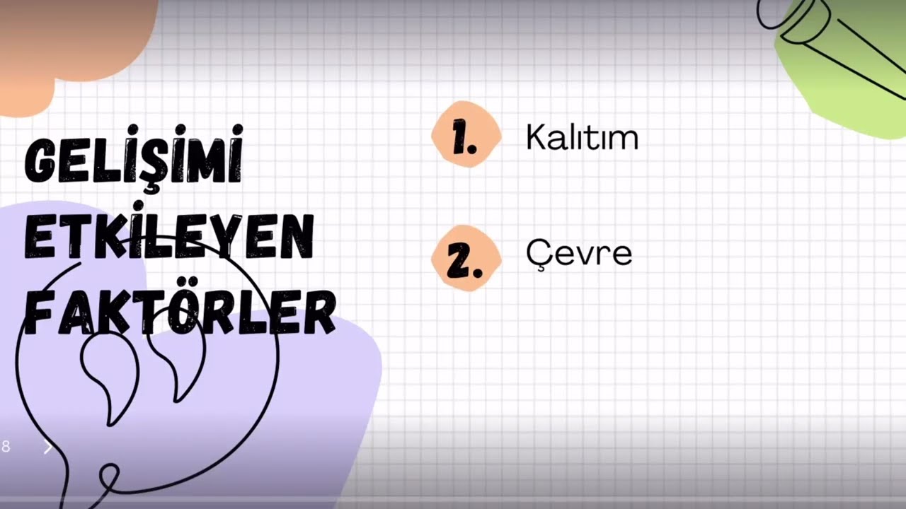 Okul Öncesi ÖABT/ Erken Çocukluk Döneminde Gelişim-2