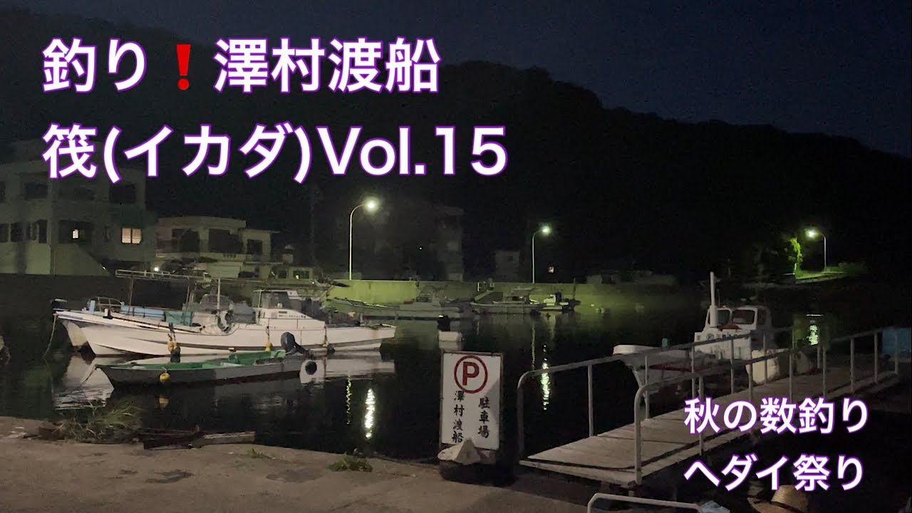 【澤村渡船】釣り❗️筏(イカダ)Vol.15 秋の数釣りヘダイ祭り
