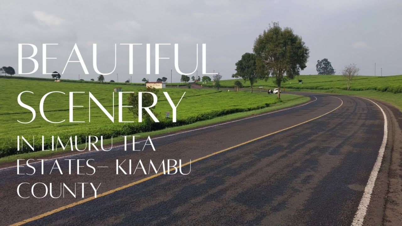 Kiambu county- BEAUTIFUL TEA PLANTATIONS -travel vlog