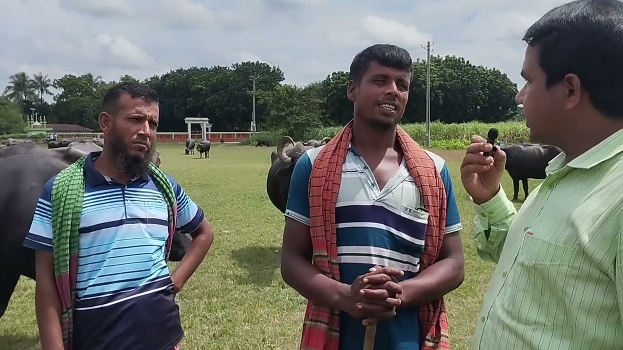 LDDP প্রকল্প। মাঝদিয়া মহিষ পিজি।ঈশ্বরদী,পাবনা।