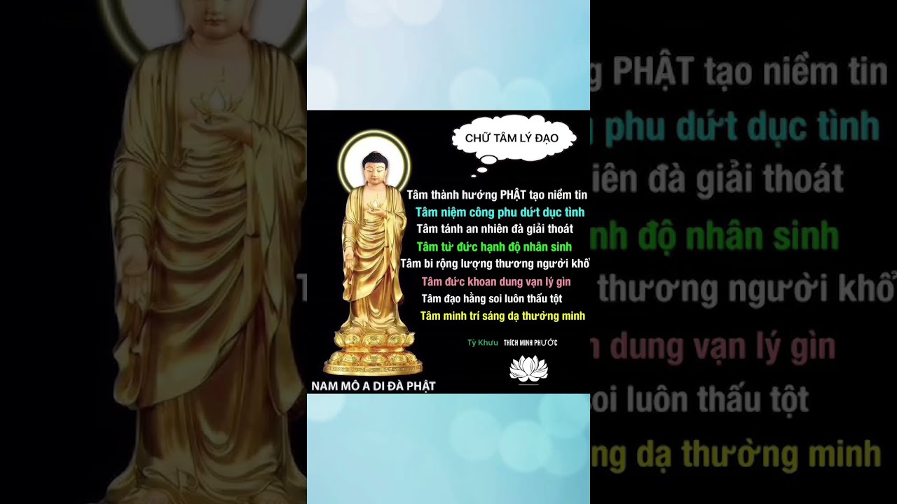 CHỮ T&Acirc;M L&Yacute; ĐẠO #SHORTS #AMAPMIENTAY