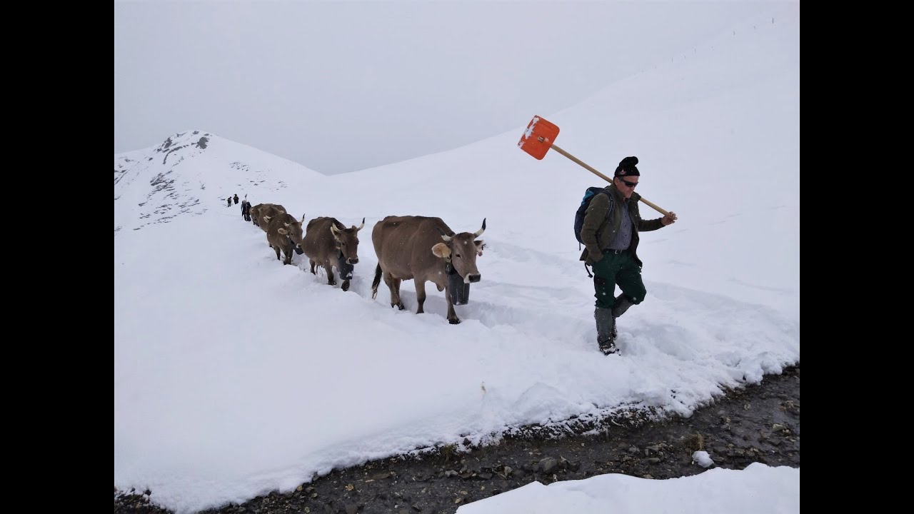 Alpsommer 2024 Im Schnee auffahren – im Schnee abfahren