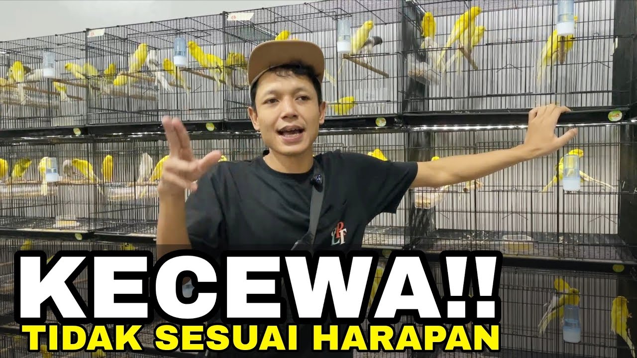 ASLI KECEWA‼️PESEN RASMI PANJANG 20 MALAH YANG DATANG 23 Cm