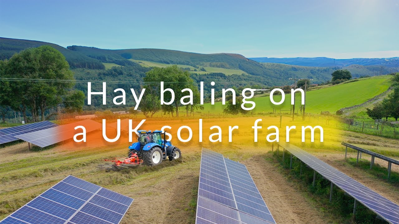 Hay baling on a UK solar farm | Lightsource bp