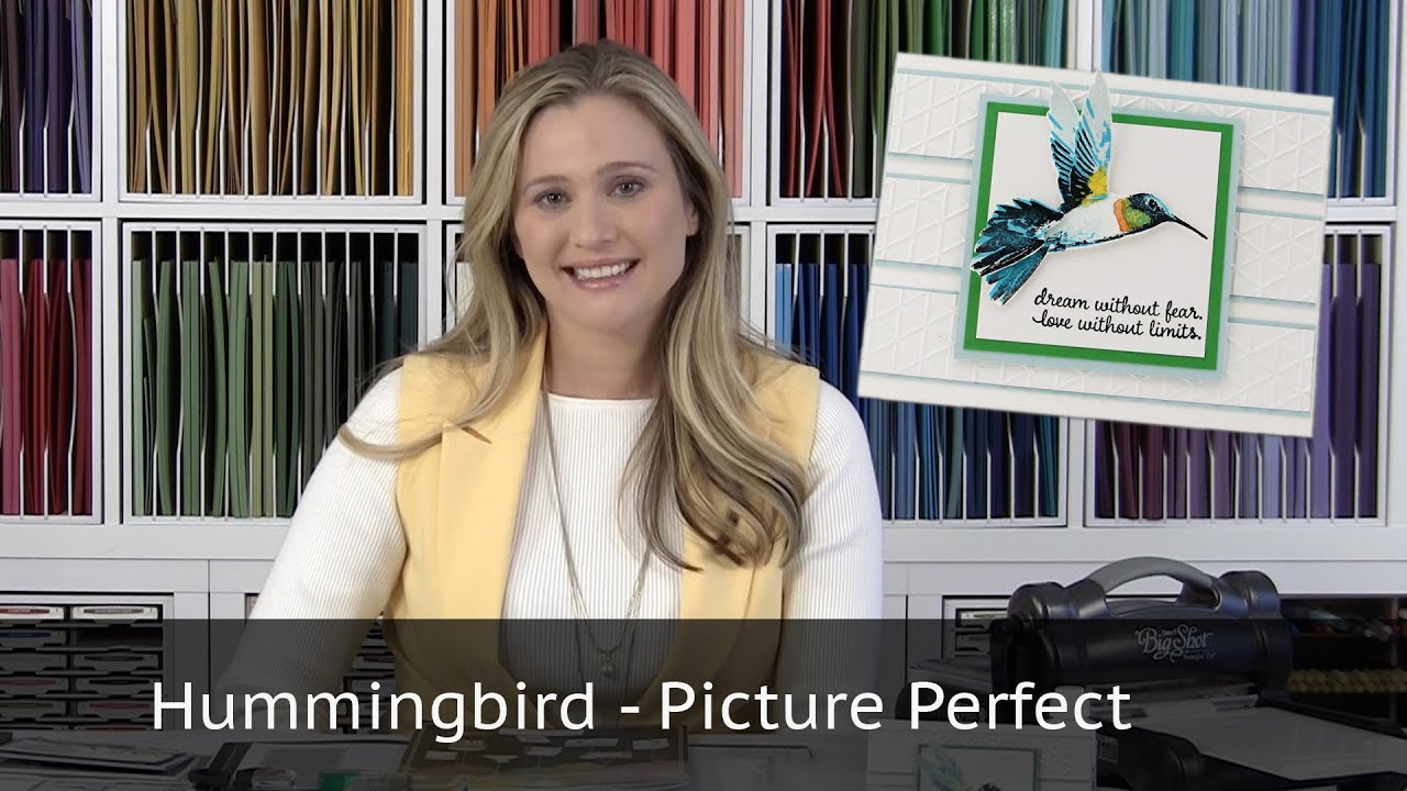 Hummingbird - Picture Perfect Stamp Set from Stampin Up!