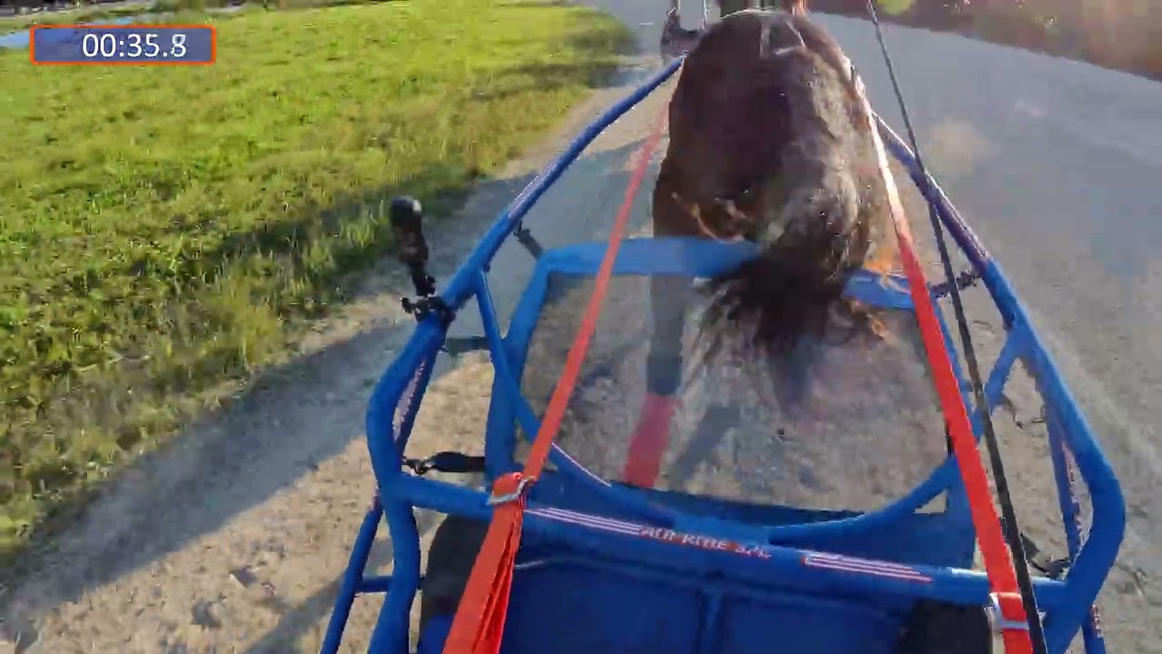 2026 Racing Season   Unhynged Adieu 20260127