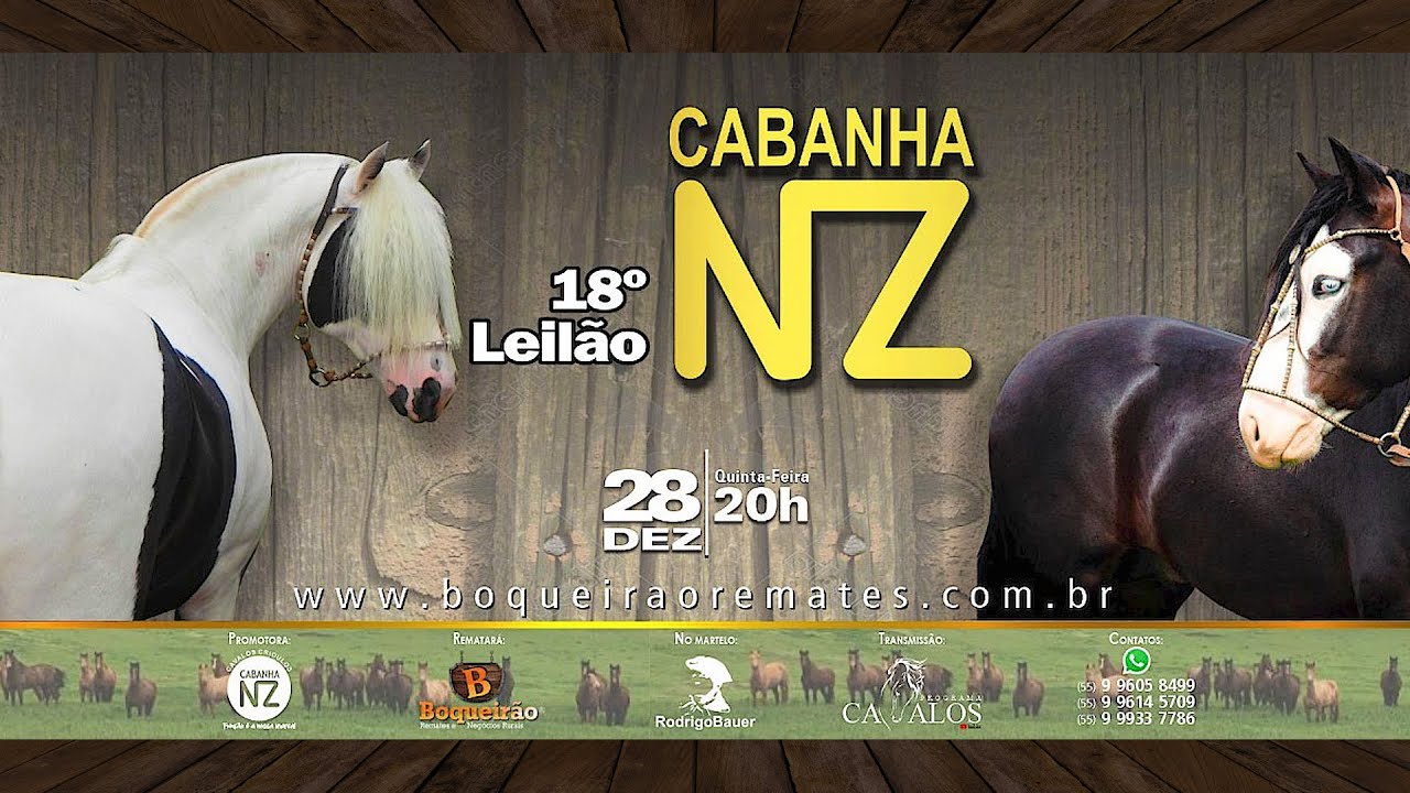 18º LEILÃO DE CAVALOS CRIOULOS | CABANHA NZ
