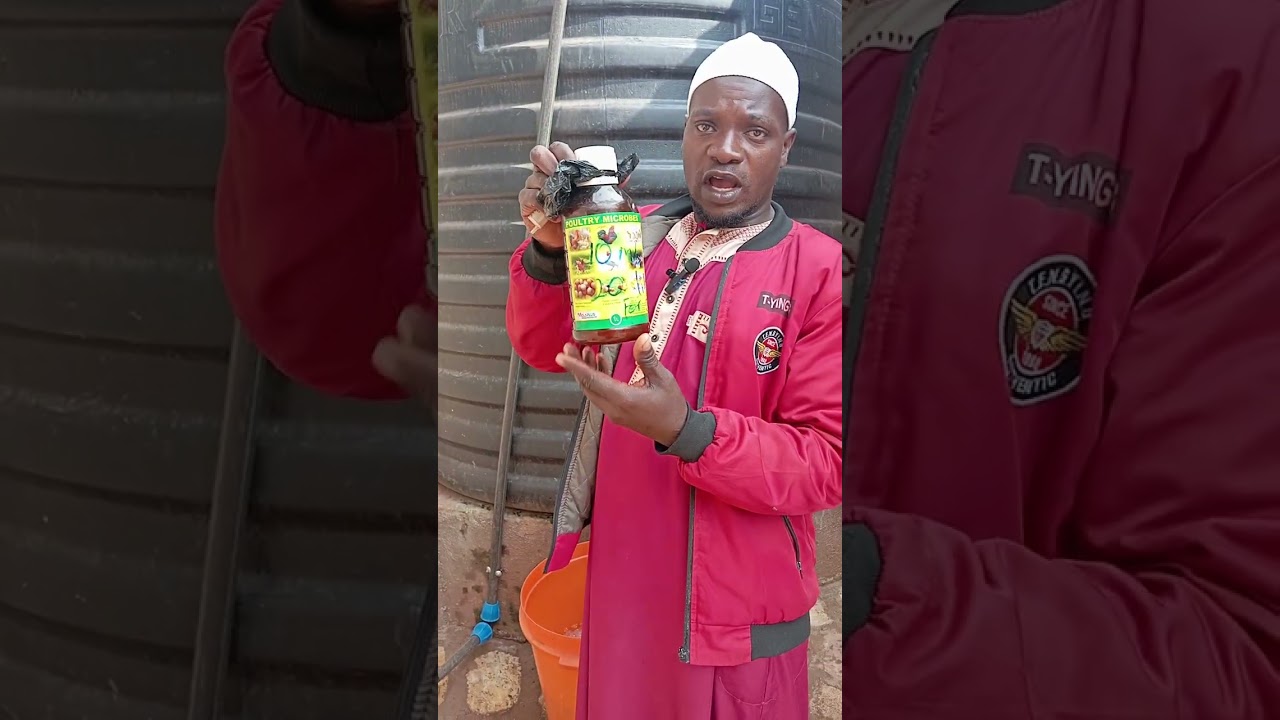Tukole banange, u can't become rich nga tokola