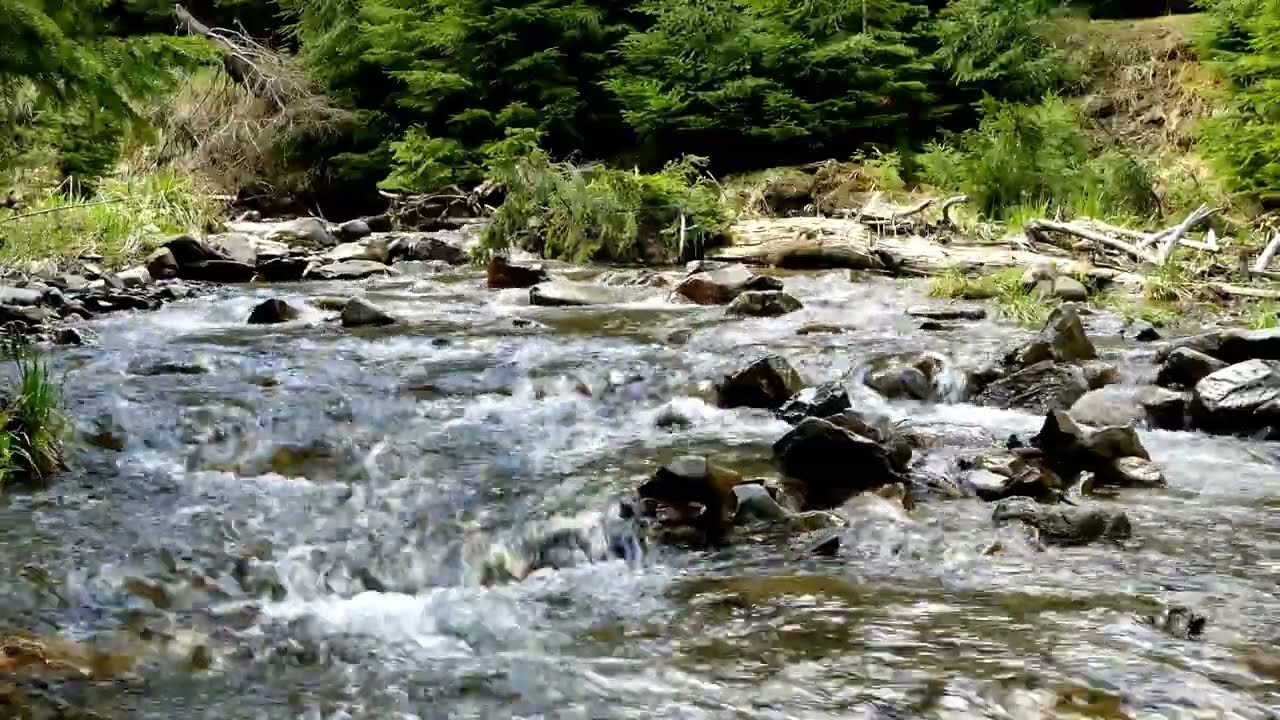 Dere Sesi | Relaxing Stream Sounds