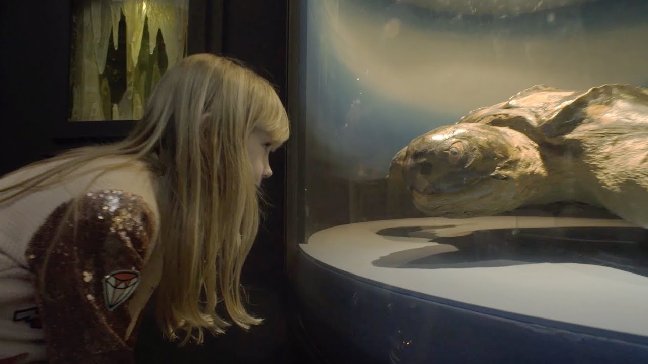 One day at Natural History Museum Rijeka