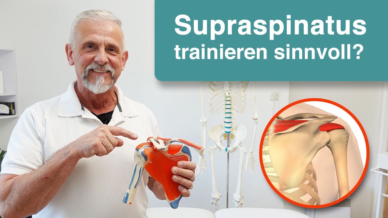 Supraspinatus trainieren ➡️ Ja oder Nein? Wann ist es sinnvoll?
