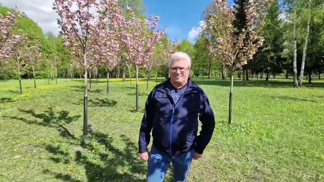 Mūsų dienos kaip šventė, kaip žydėjimas vyšnios (sakuros)...🌸 😉