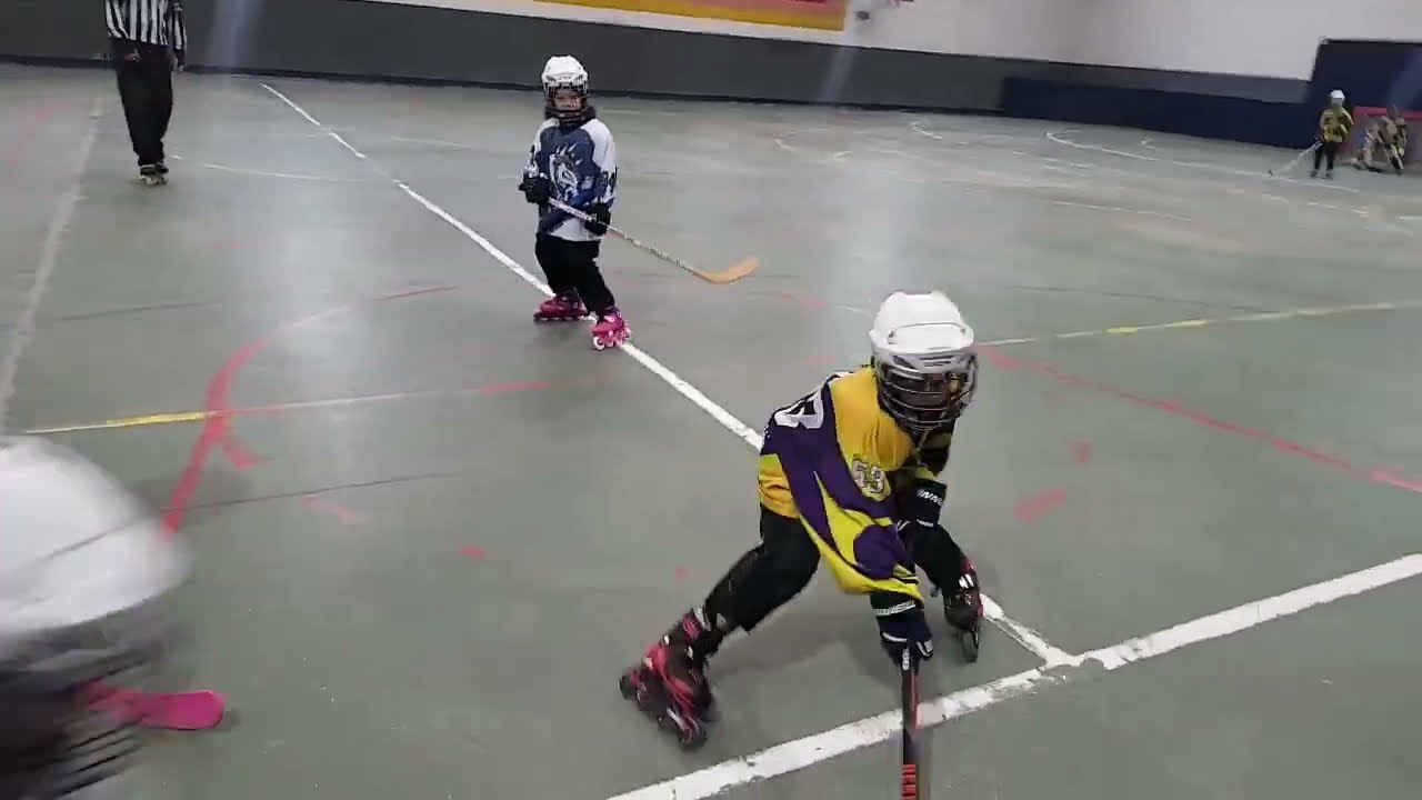 Prebenjamines Lobos vs Raptors A