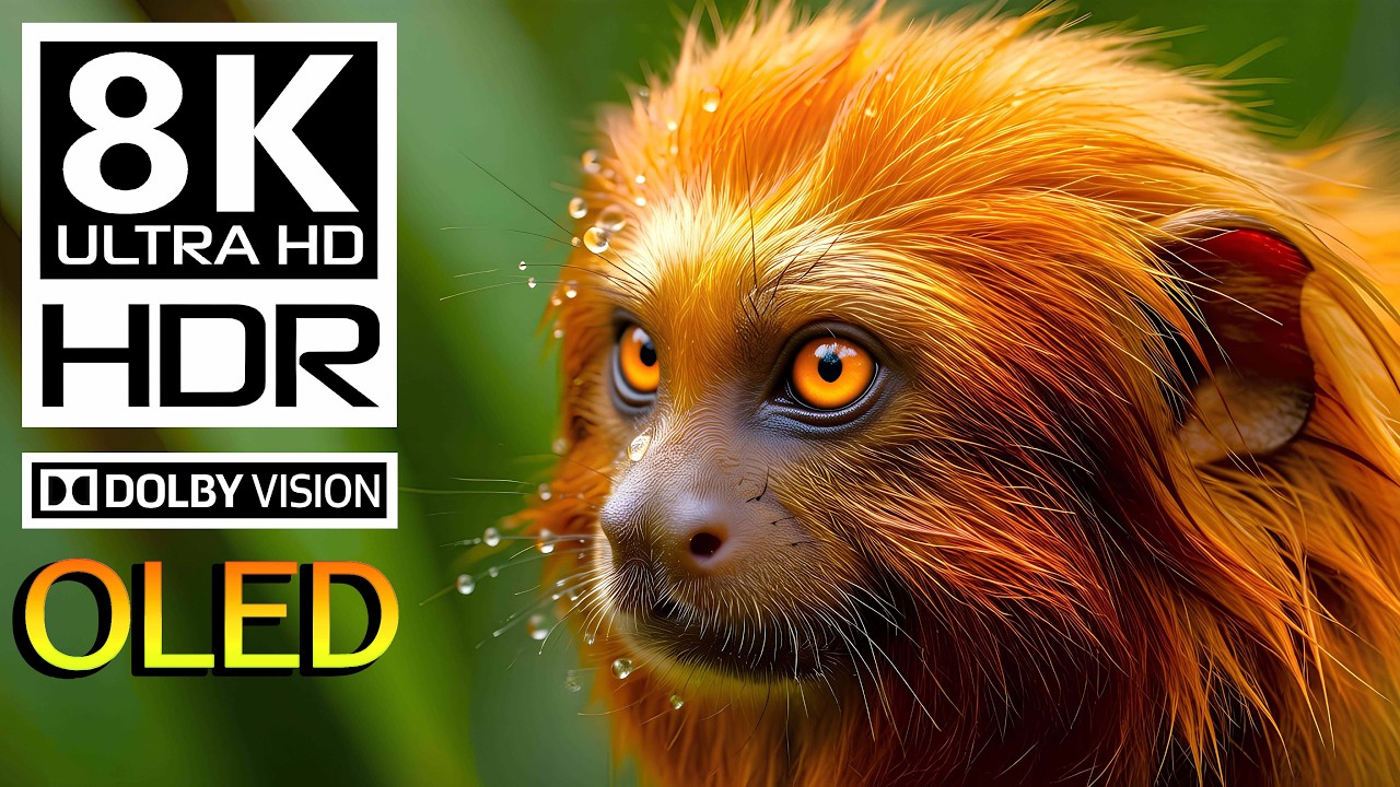 Stunning Aerial Views of Mountain Wildlife in 8K HDR 60FPS Dolby Vision