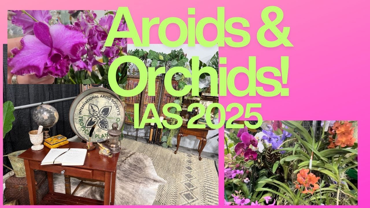 Внутри выставки IAS Aroid Show 2025 🌱 | Орхидеи, новые растения и даты будущих выставок