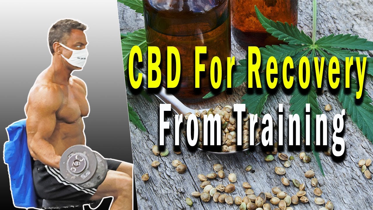 CBD For Recovery From Training