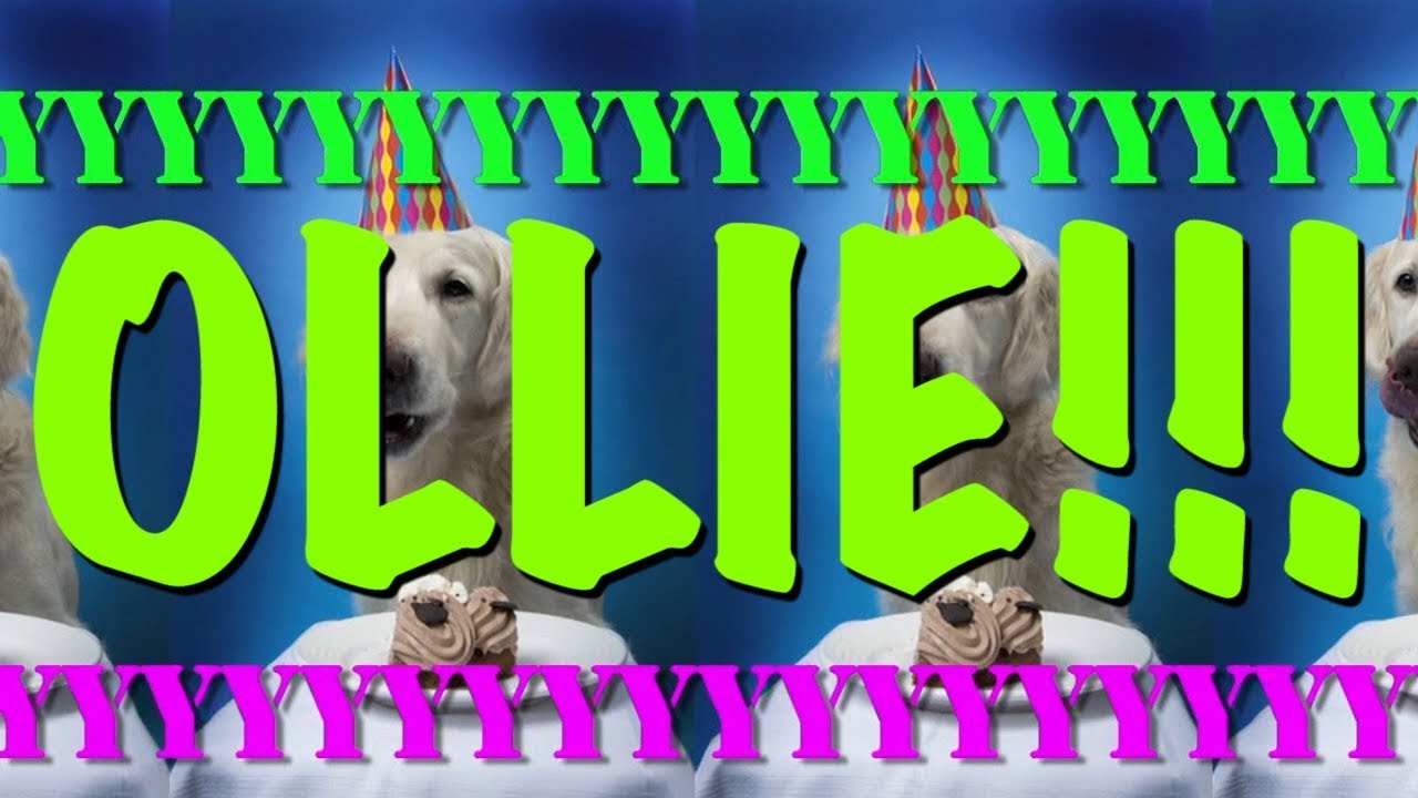 HAPPY BIRTHDAY OLLIE! - EPIC Happy Birthday Song