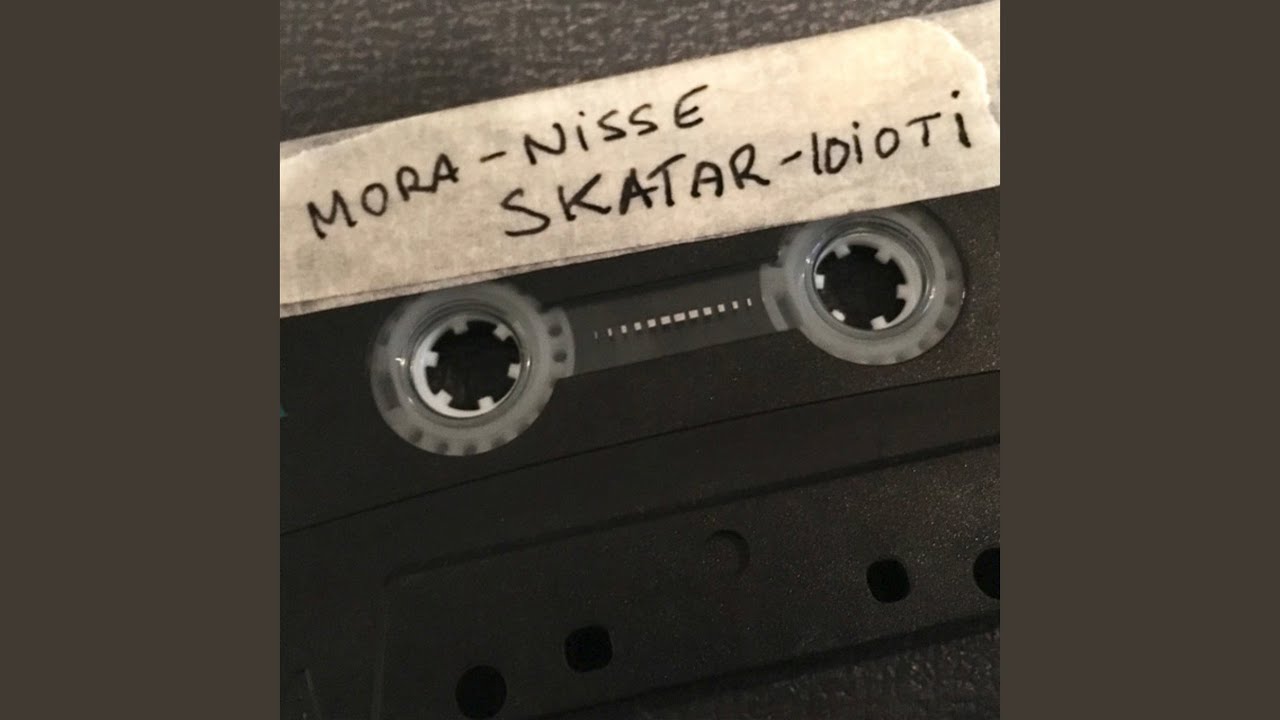 Skatar-idioti