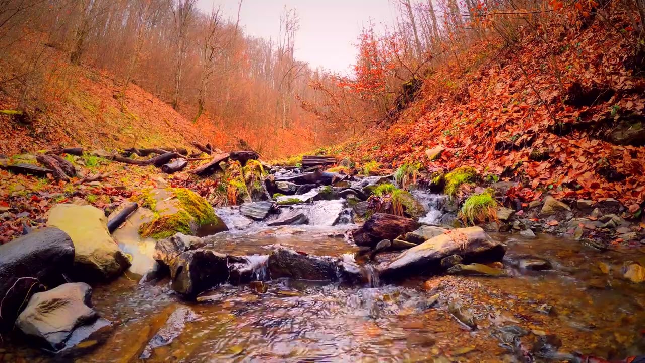 10 Hours 4K Autumn Forest Creek | Relaxing Nature Sounds for Sleep, Study & Stress Relief