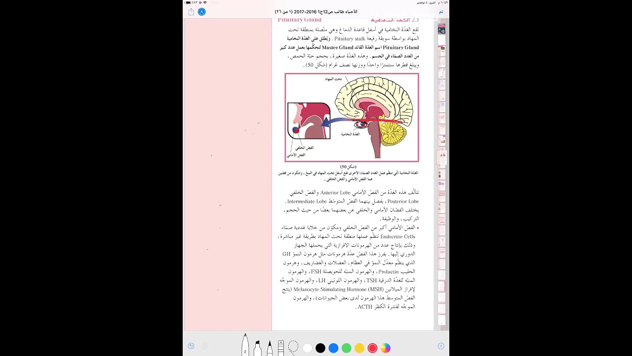 الجهاز الهرموني الدرس السابع النخامية
