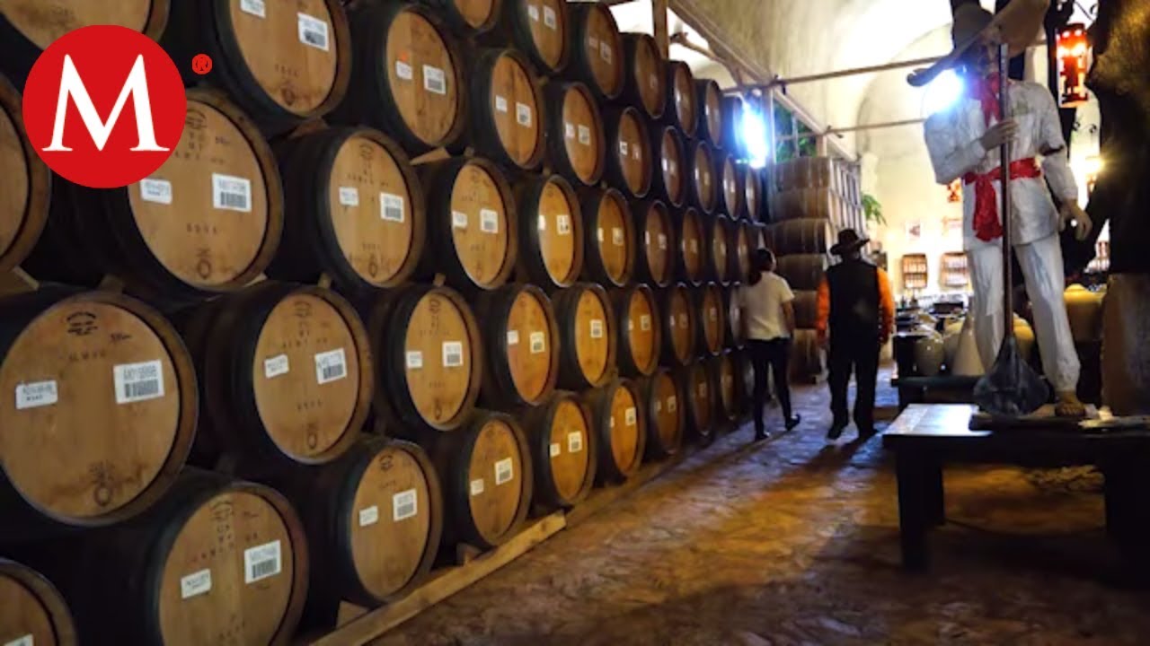 Historia del tequila en México / Conexión Milenio