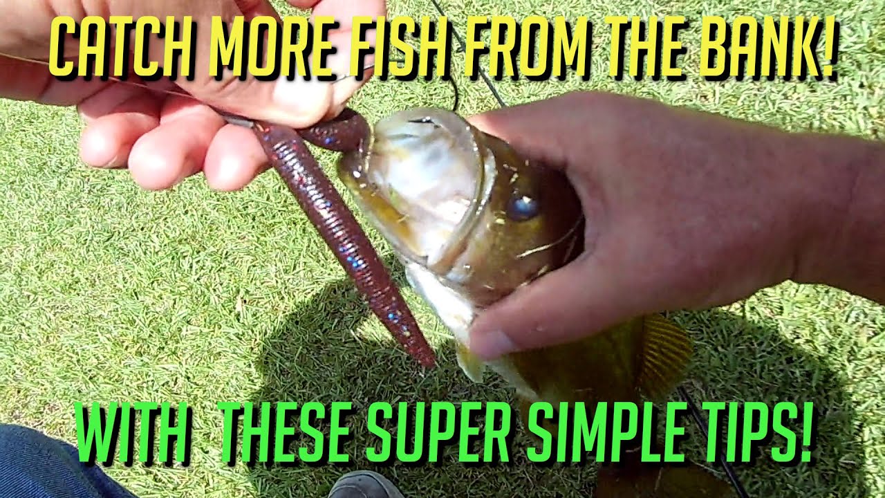 BANK Fishing Texas Rigs (Learn The Right Way!)