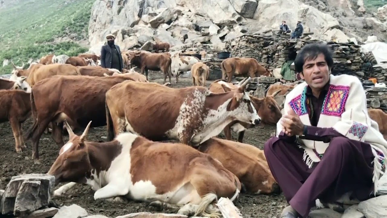 Nuristan Livelihood - ‏VOA Ashna