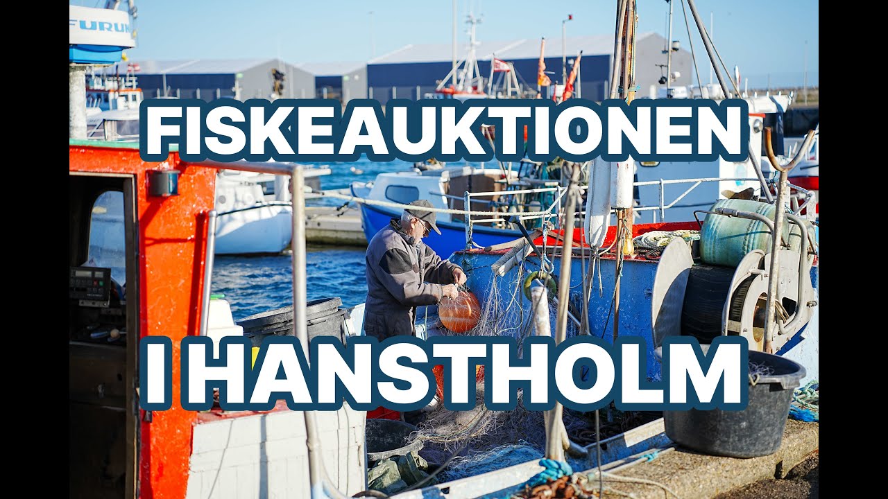 Kom med på Danmarks største fiskeauktion i Hanstholm!