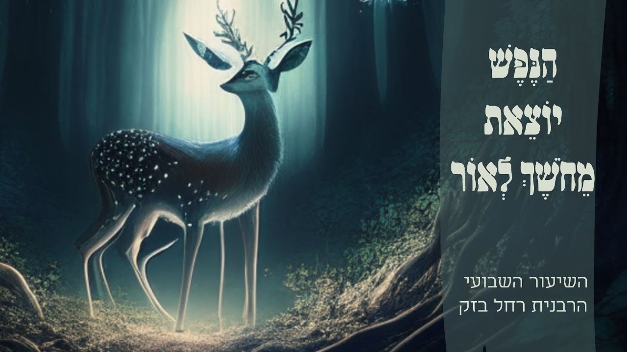 הַנֶּפֶשׁ יוֹצֵאת מֵחֹשֶׁךְ לְאוֹר - עצות זהב לקום מעצבות ובדידות | הרבנית רחל בזק |השיעור השבועי