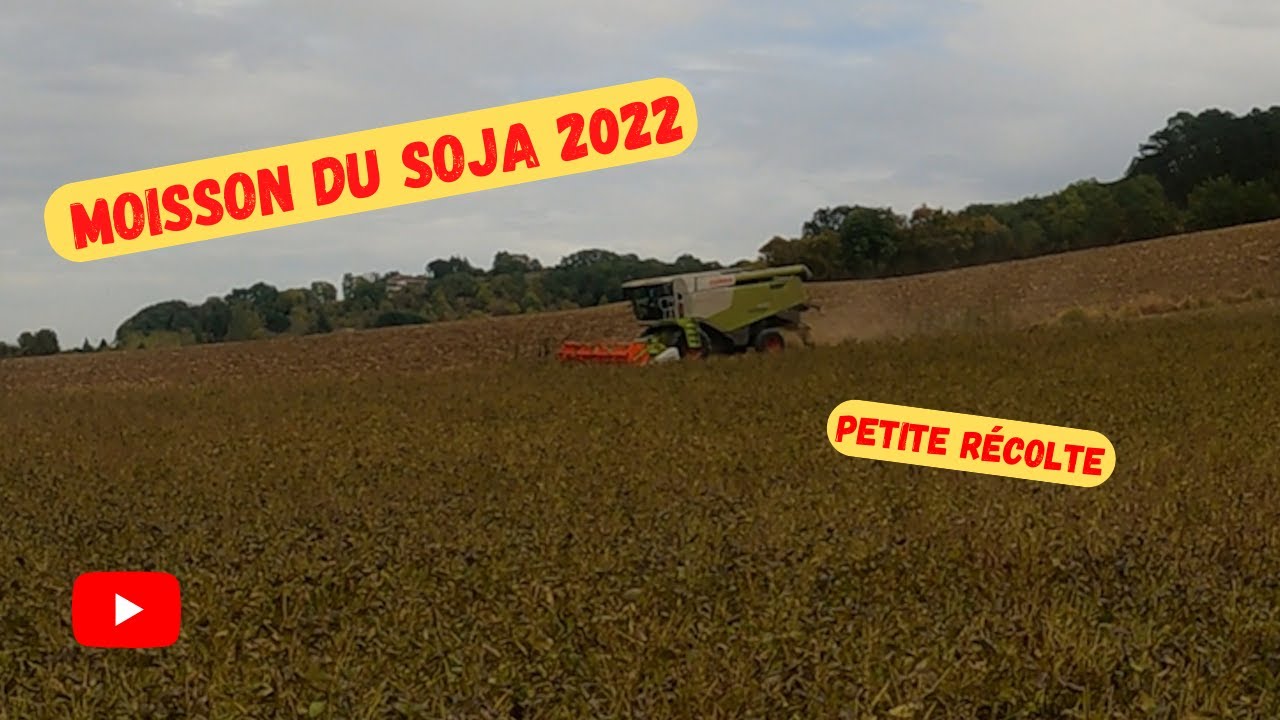 moisson du soja 2022