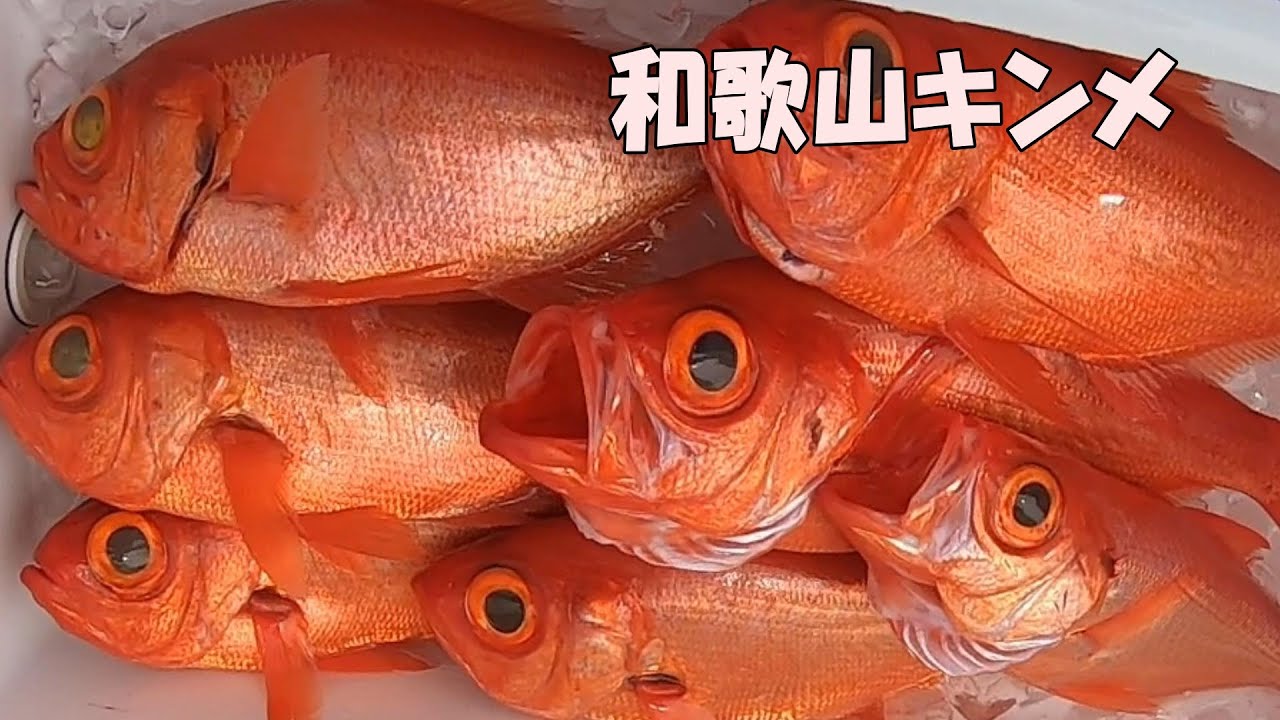 《和歌山・ 貴丸》キンメ釣り　深海釣り2021 8 11金目鯛釣り