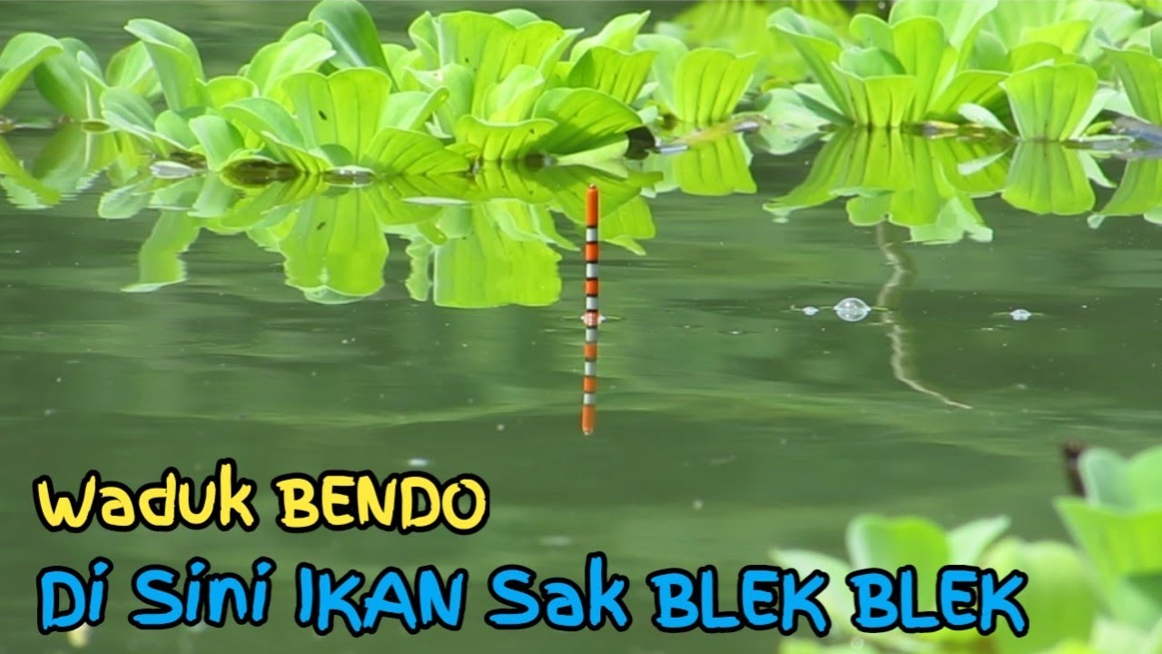 ISTIMEWA❗Sensasi Ikan Sak BLEK BLEK WADUK BENDO PONOROGO